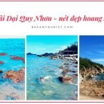 Bãi Dại Quy Nhơn địa điểm du lịch hoang sơ, vẫn còn nguyên sơ nét đẹp tự nhiên