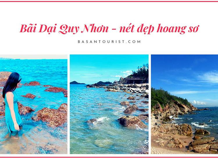 Bãi Dại Quy Nhơn địa điểm du lịch hoang sơ, vẫn còn nguyên sơ nét đẹp tự nhiên