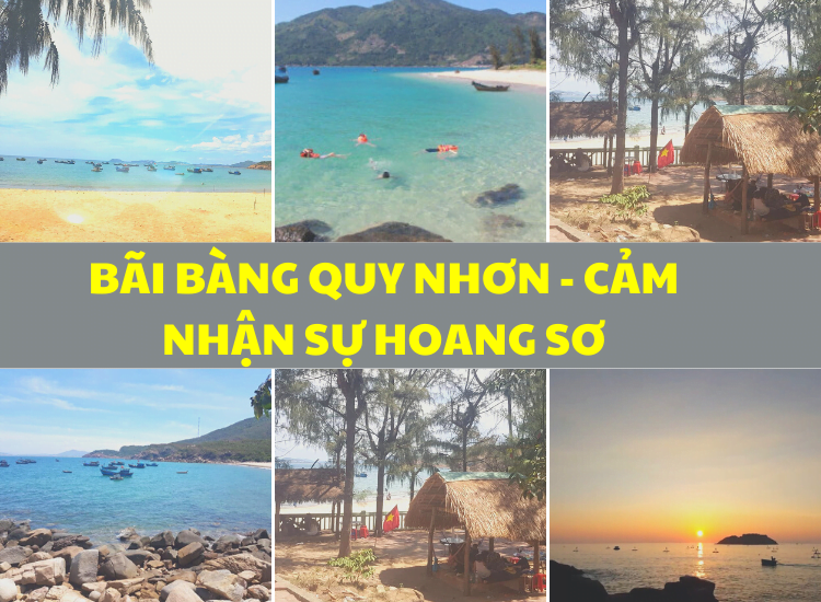 Bãi Bàng Quy Nhơn - Khám phá nét đẹp hoang sơ mà thiên nhiên ban tặng - Basantourist