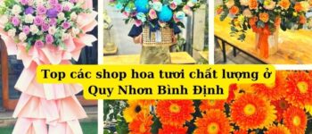 Review các shop hoa tươi đẹp nhất Bình Định